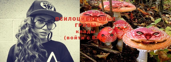 твердый Алексеевка