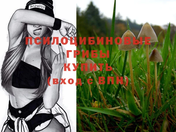 стафф Абдулино