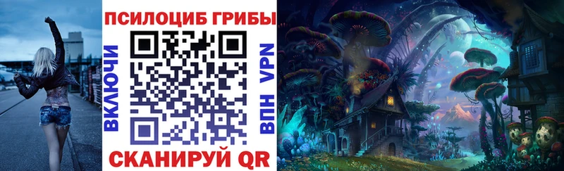 купить  сайты  Верхоянск  мориарти какой сайт  Псилоцибиновые грибы ЛСД 
